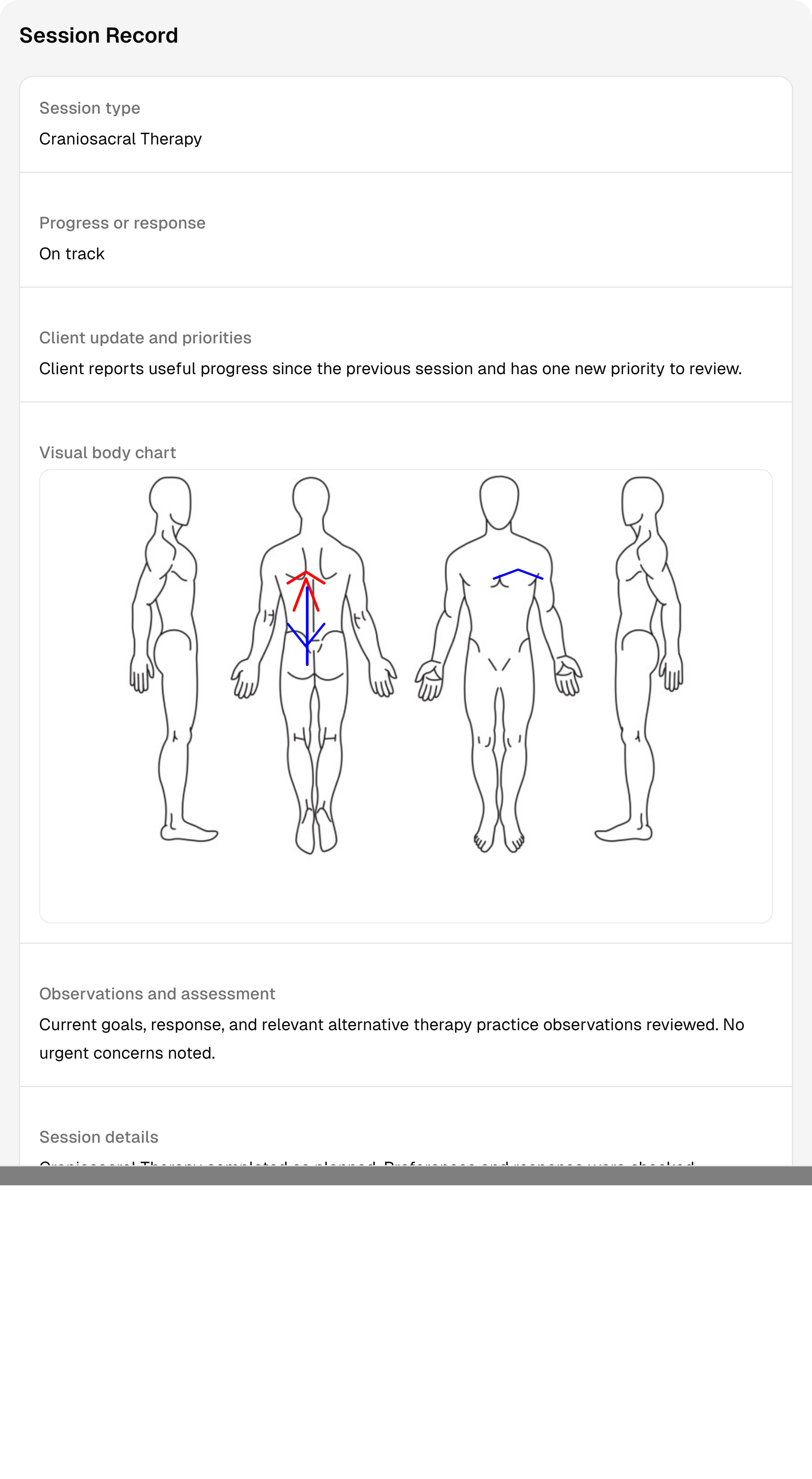 A completed alternative therapy session record with sample notes and follow-up context.