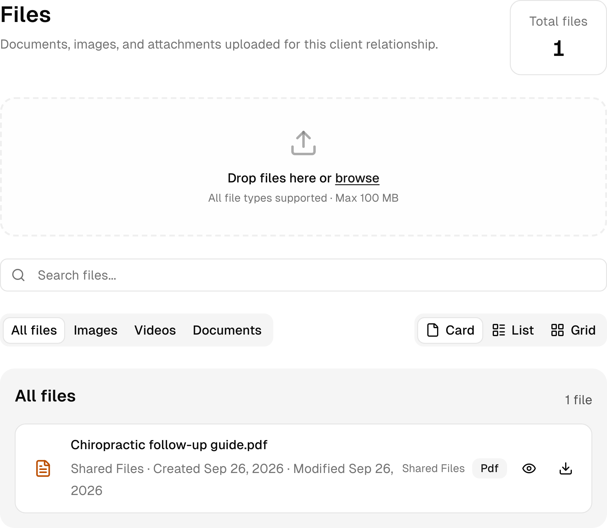Documents and shared files in a sample chiropractic client workspace.