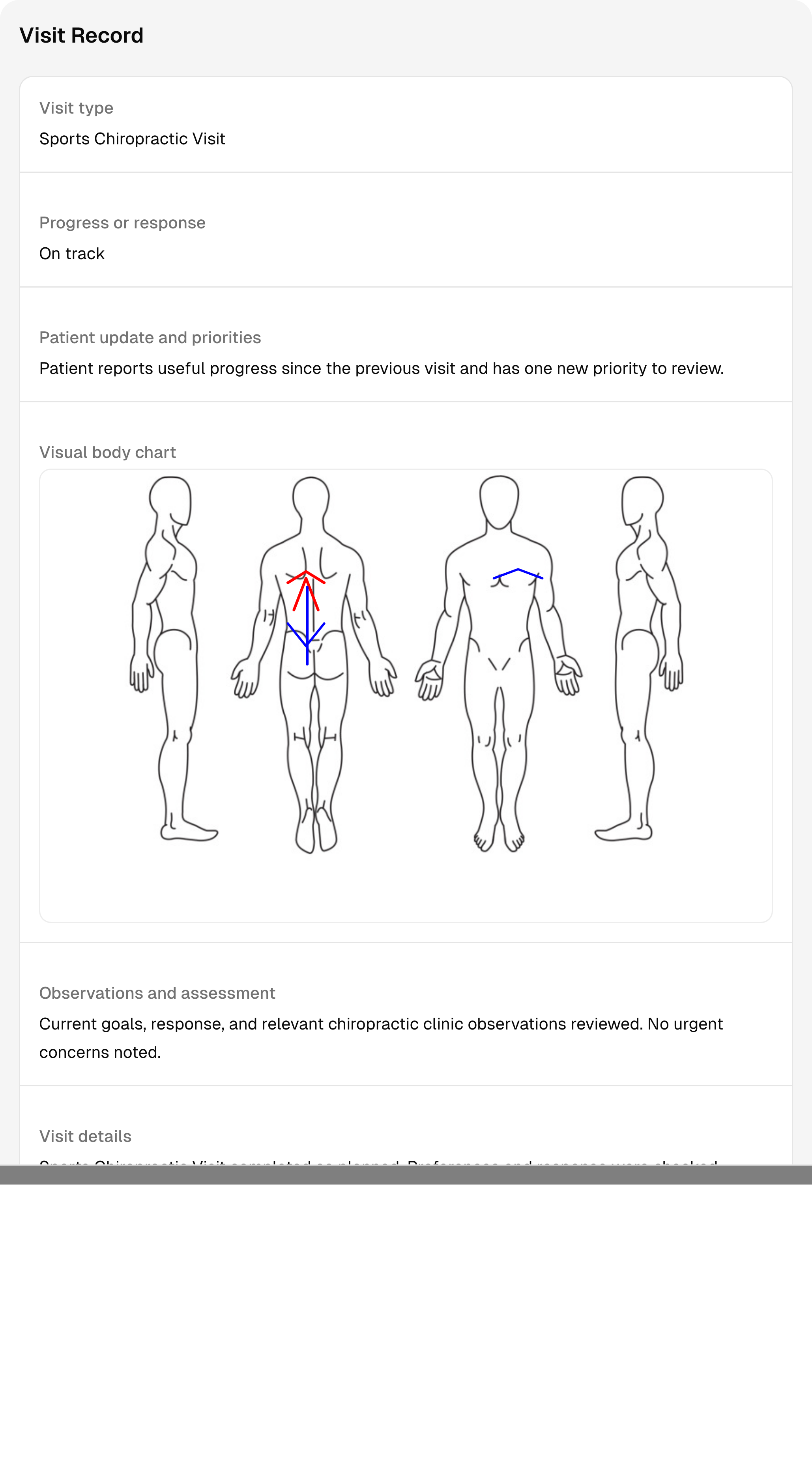 A completed chiropractic session record with sample notes and follow-up context.